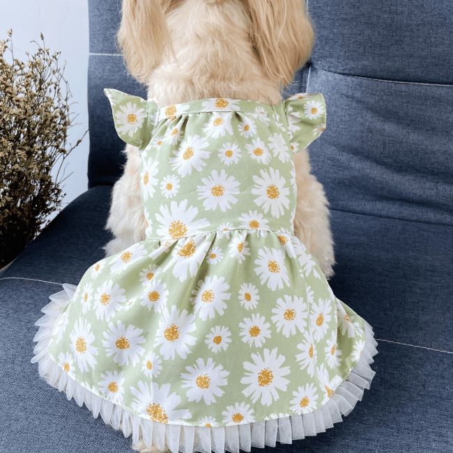 Pet Dress-Little Daisies-Light Green-XXL-Polyester-1 piece