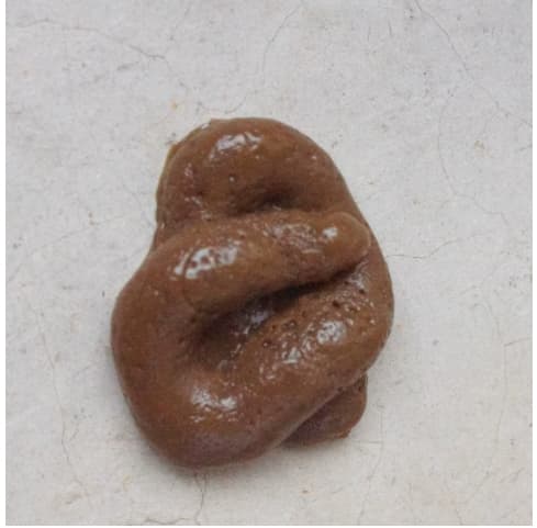 Poop decoration-No. 1 dog poop color-1