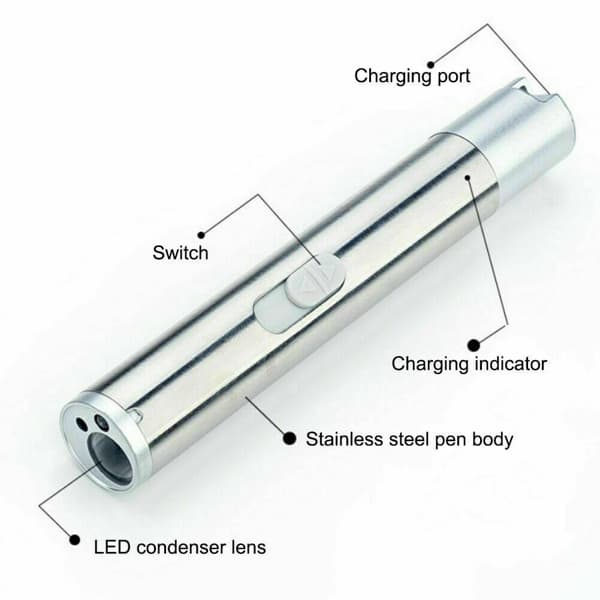 3 In1 1mw USB Rechargeable Pet Toy Pen Flashlight Red Laser Beam UV Light 3-Modes Lamp