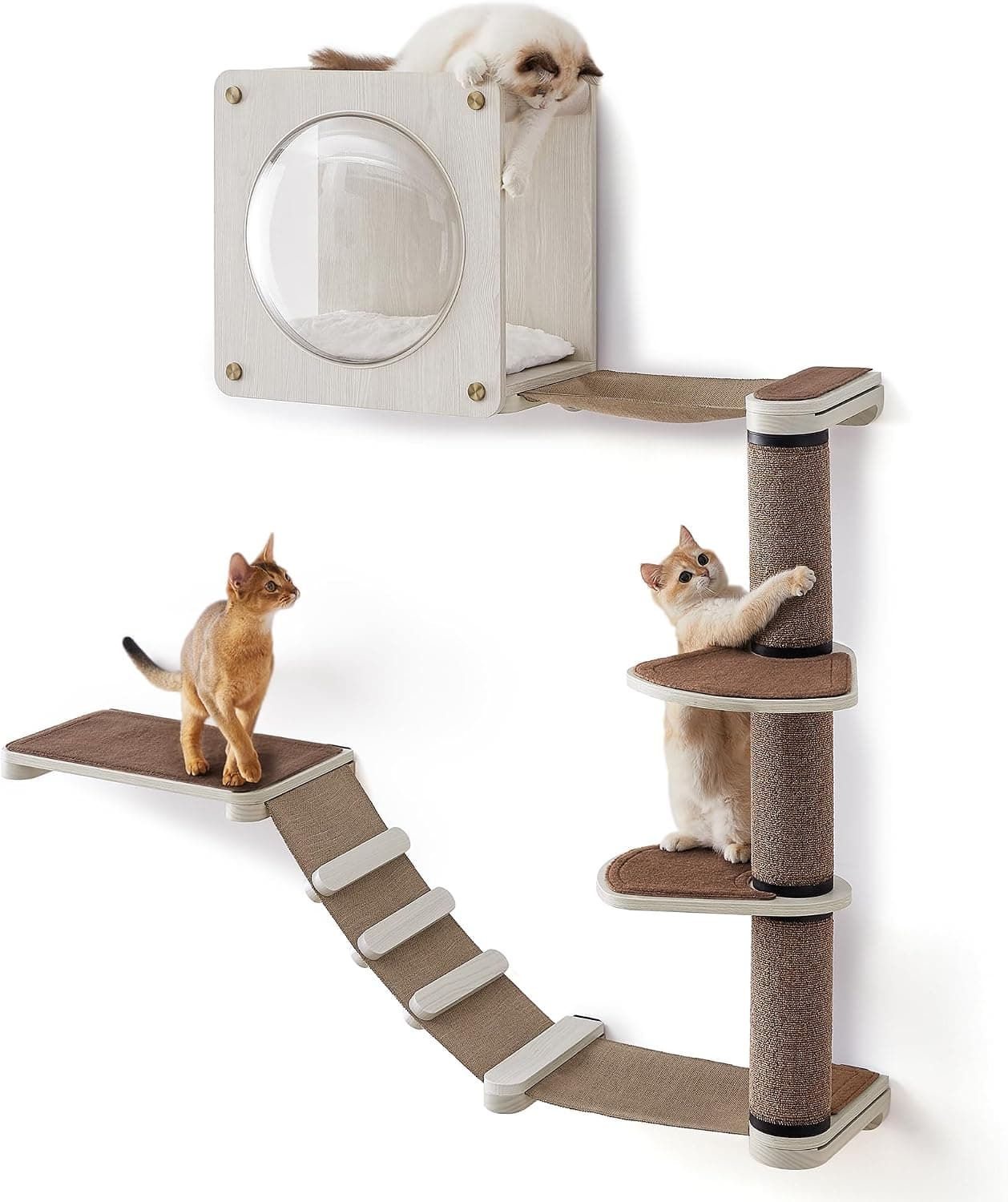 Set Of 5 Clickat Oasis Cat Climbing Wall, Cat Board, Hammock, Scratching Column, Interchangeable Washable Parts, Brown Oatmeal And Coffee