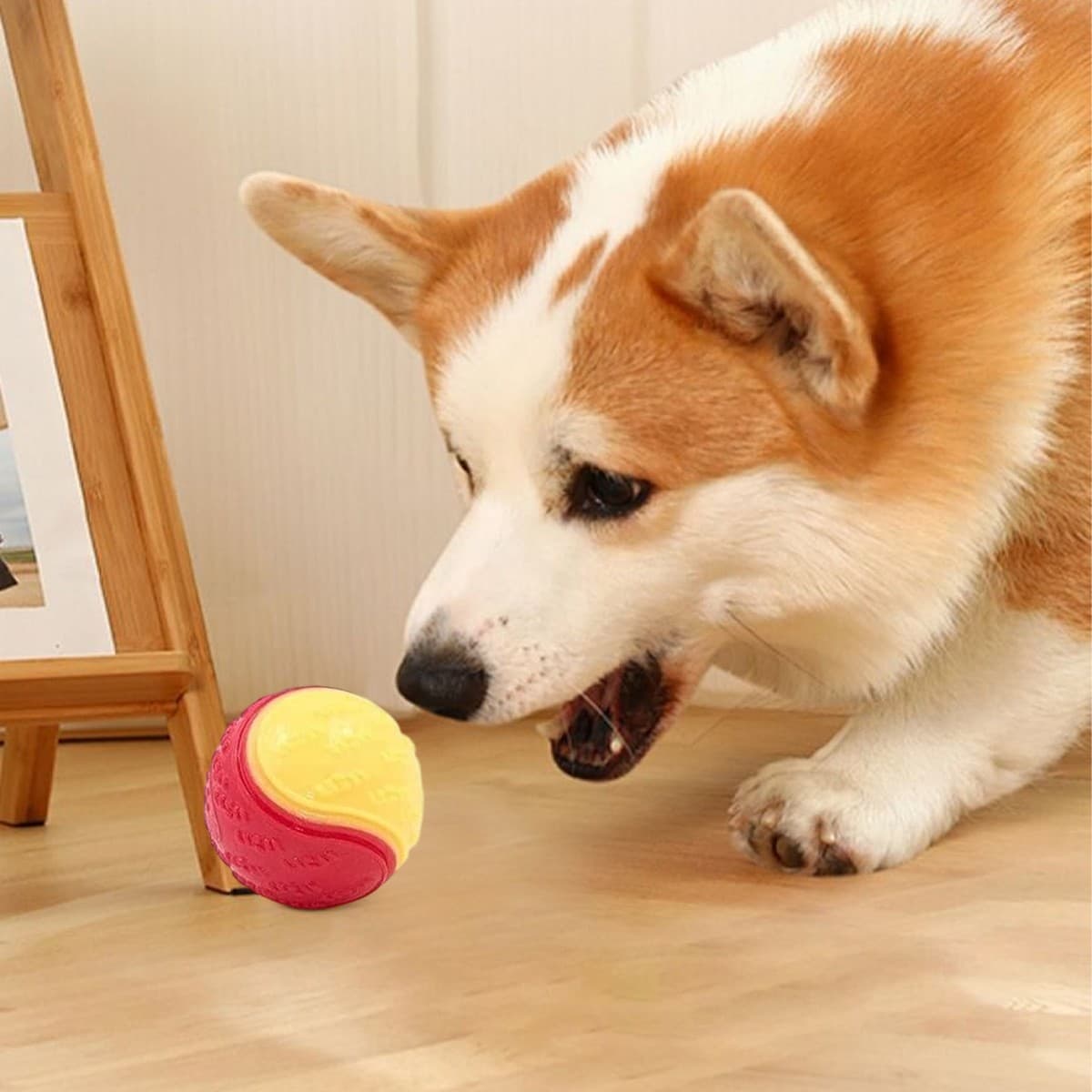 8X Scooby-Doo Durable Squeaky Set Dog Balls For Teeth Cleaning Interactive