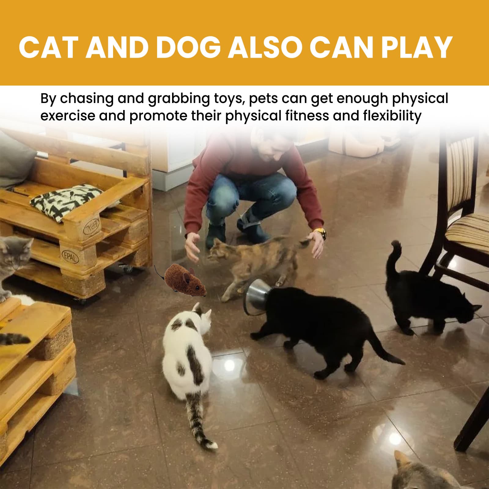 Interactive Smart Mouse Toy, Pet Toy, Pet Products for Pet Daily Care