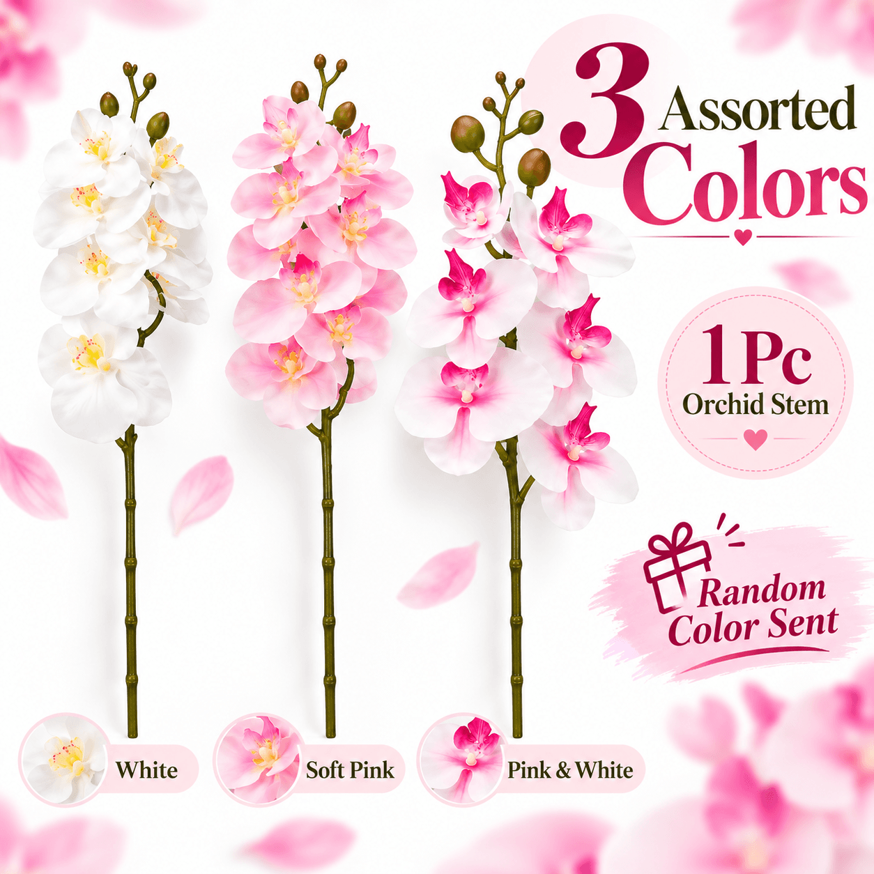 Branch Orchid 60cm Assorted 3