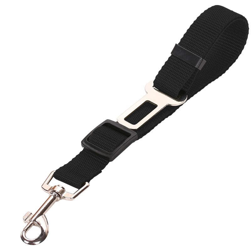 Seat Belts Dogs Car