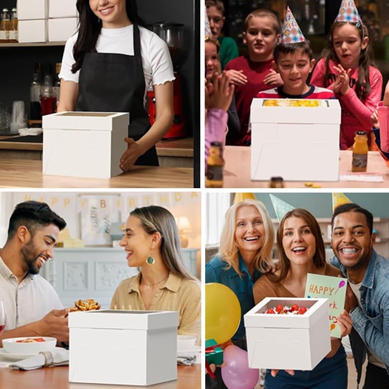 10X 10-Inch Cake Boxes WCake Boards Disposable Clear Window Cake Carriers NEW
