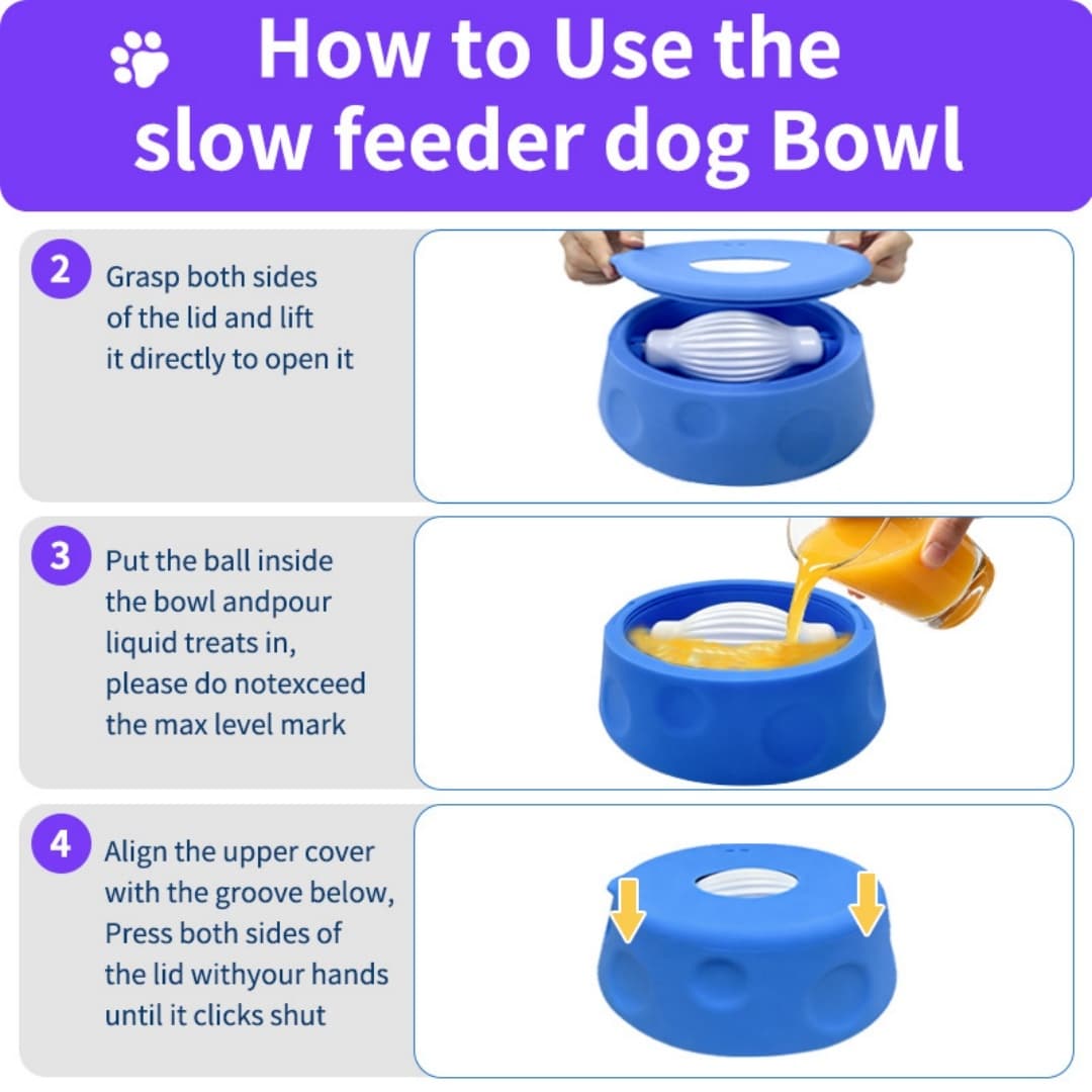 Slow Feeder Licking Bowl, Anti-Overflow Slow Eating Pet Dish