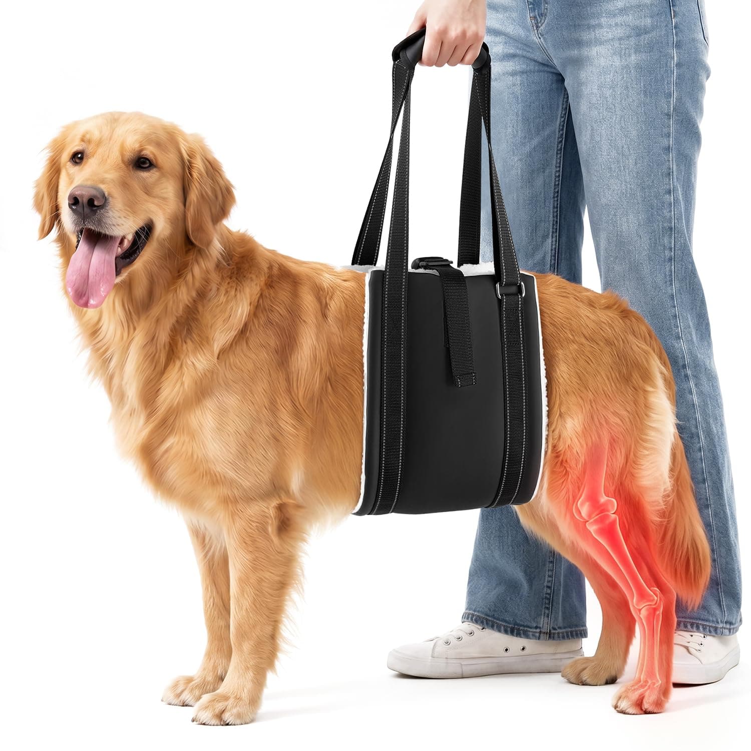 Dog Lift Harness For Rear Legs, Adjustable Dog Support Harness For Large Dogs, Soft Hip Sling For Senior, Disabled & Injured Dogs, Hind Leg Mobility Aid After ACL CCL TPLO Surgery