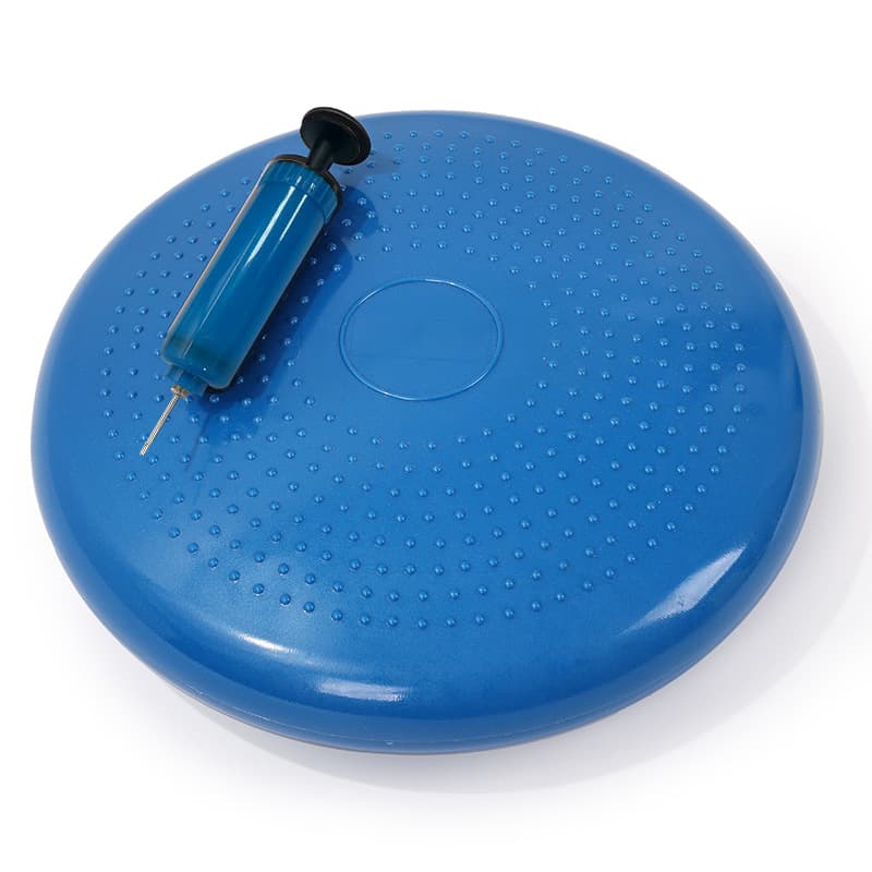 Thickened PVC Pet Balance Disc & Training Pad