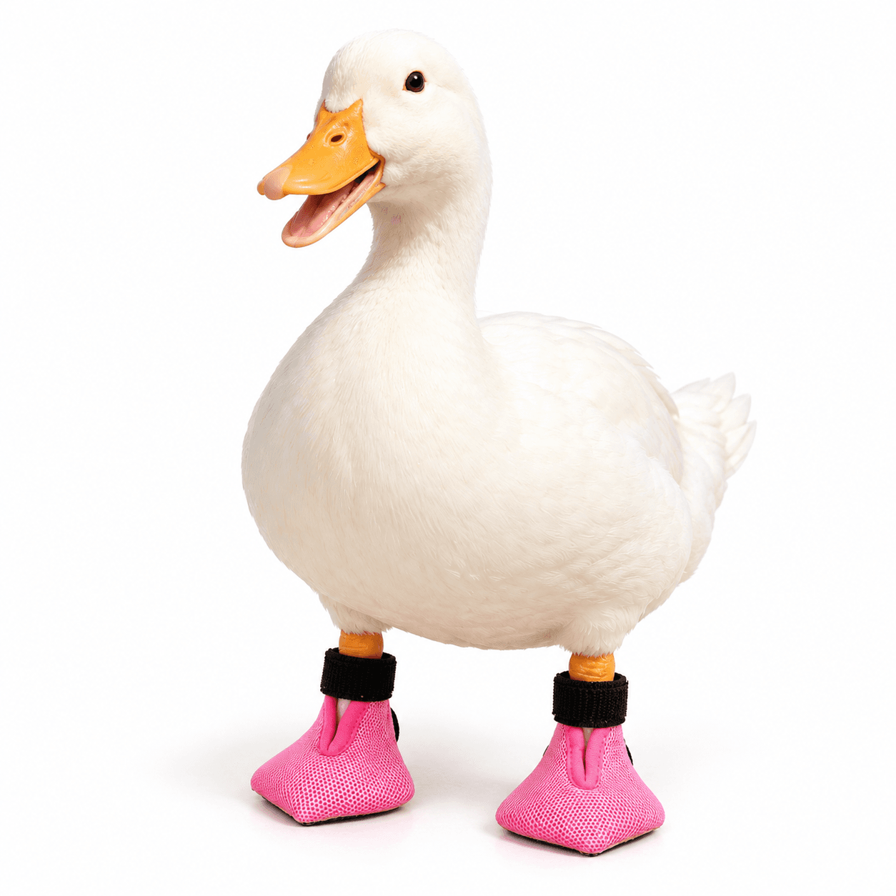 Comfort Indoor Pet Booties For Ducks Birds Breathable Mesh Protective Shoes Textured Grip Sole Adjustable Ankle Strap Lightweight Soft Lining Machine Washable Quick Dry Non Slip