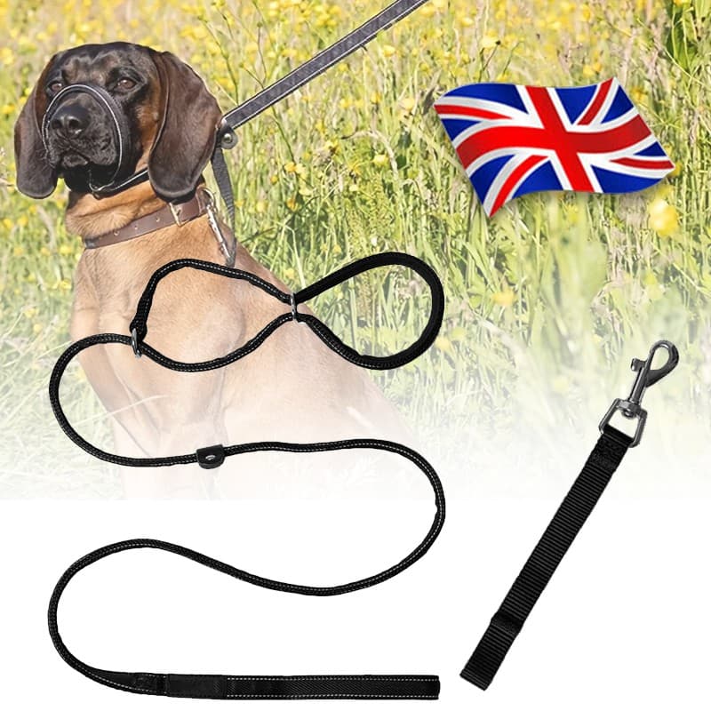 Figure Of 8 Dog Lead Dog Lead With Soft Comfy Padded Loop Handle And Nose Pads
