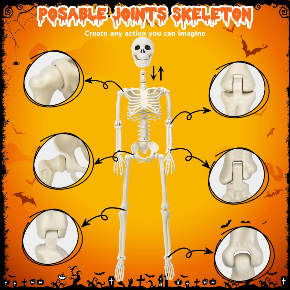 36 Inch Halloween Skeleton Decoration, 3-in-1 Posable Human Dog Cat Figures, Movable Joints