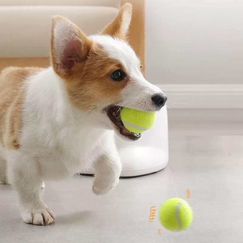 Automatic Pet Ball Launcher Toy Interactive Fetch Chucker Thrower For Dog Cat