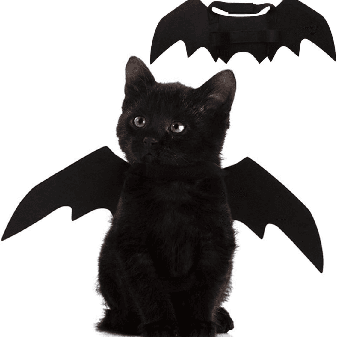 Pet Cat Bat Wings For Halloween Party Decoration, Puppy Collar Leads Cosplay Bat Costume,Cute Puppy Cat Dress Up Accessories