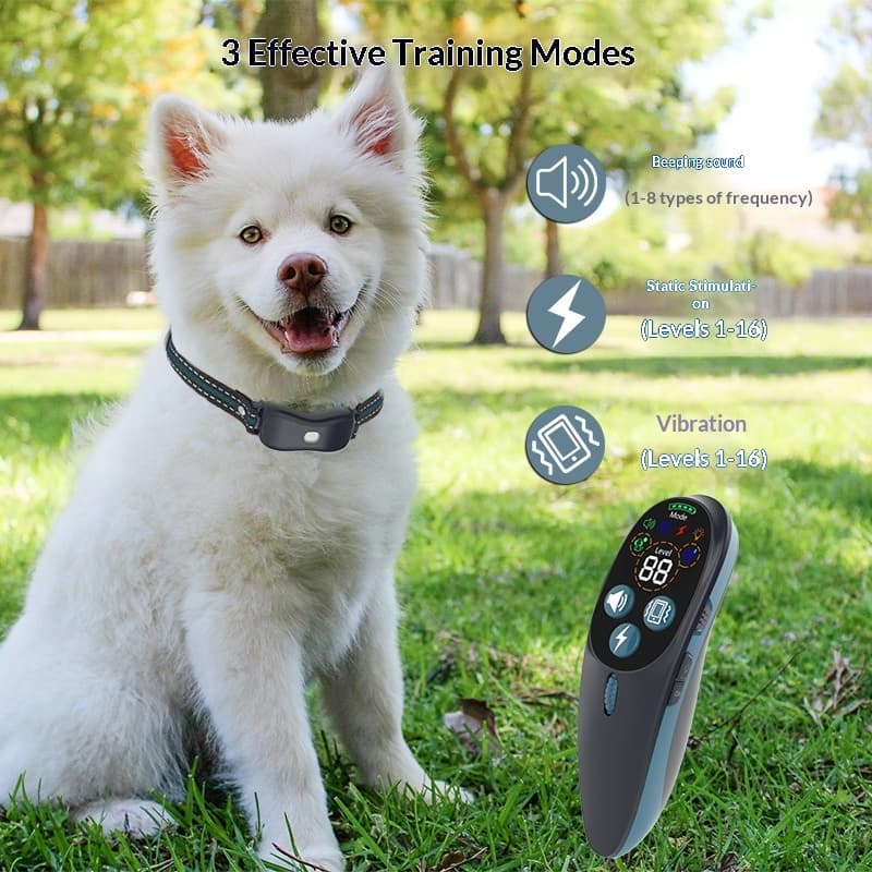 Remote 2-in-1 Pet Dog Training Device.
