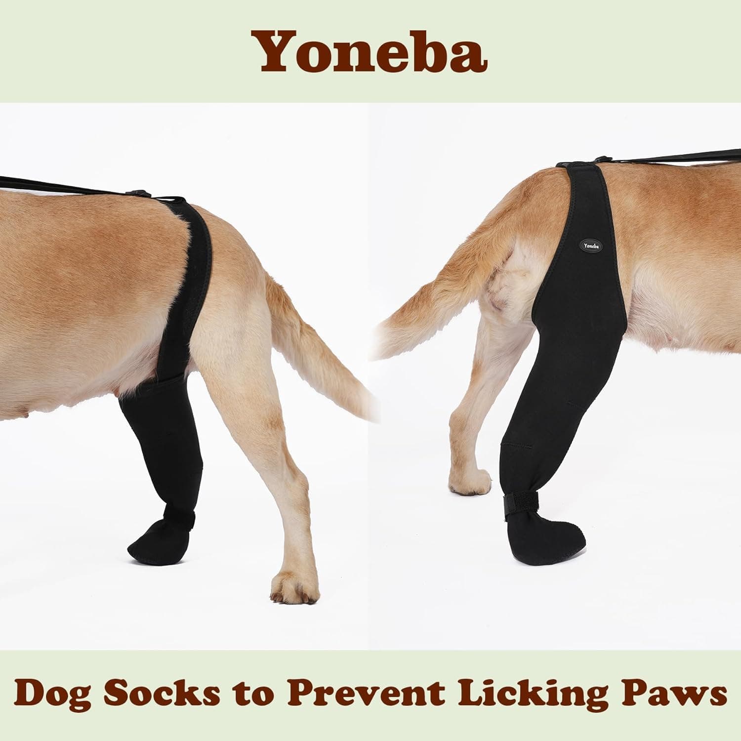 Dog Socks To Prevent Licking Paws , Breathable Leg Sleeve To Stop Licking And Biting,  Firm And Secure Adjustable Size Dog Recovery Sleeve Socks