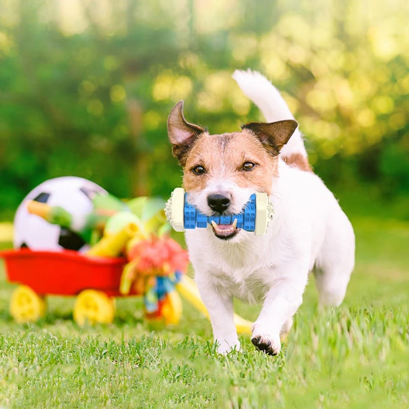 Interactive Dog Chew Toy For Aggressive Dog, Squeaky Treat Dispensing