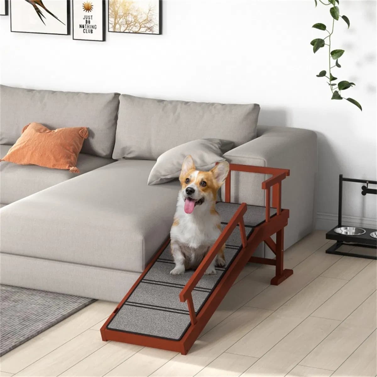 Pet Ramp ( Amazon Shipping)(Prohibited by WalMart)
