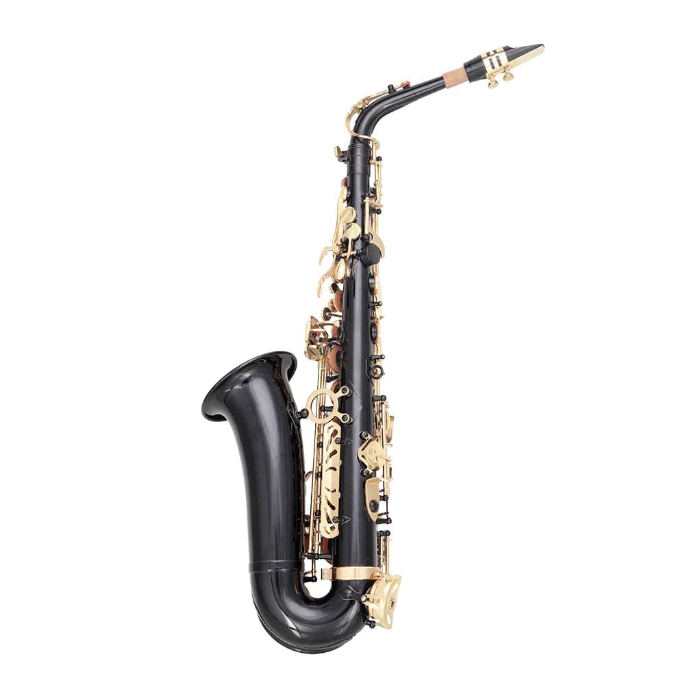 [Do Not Sell on Amazon] Alto Saxophone E-Flat Alto SAX Eb with 11reeds, case,carekit, Black Color for Students and Beginners