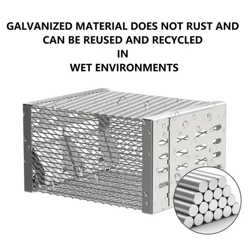 "Humane Dual-Entry Mouse Trap – Automatic Reset, Non-Rust Iron – Catch & Release Indoor/Outdoor"