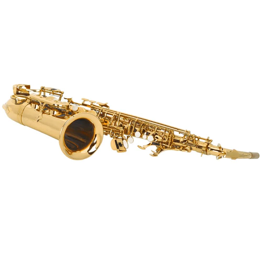 Alto Drop E Paint Gold Saxophone Paint Gold