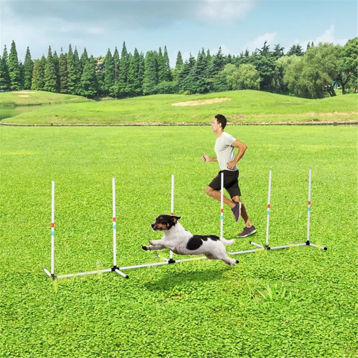 Dog Outdoor Exercise Training Set ( Amazon Shipping)(Prohibited by WalMart)