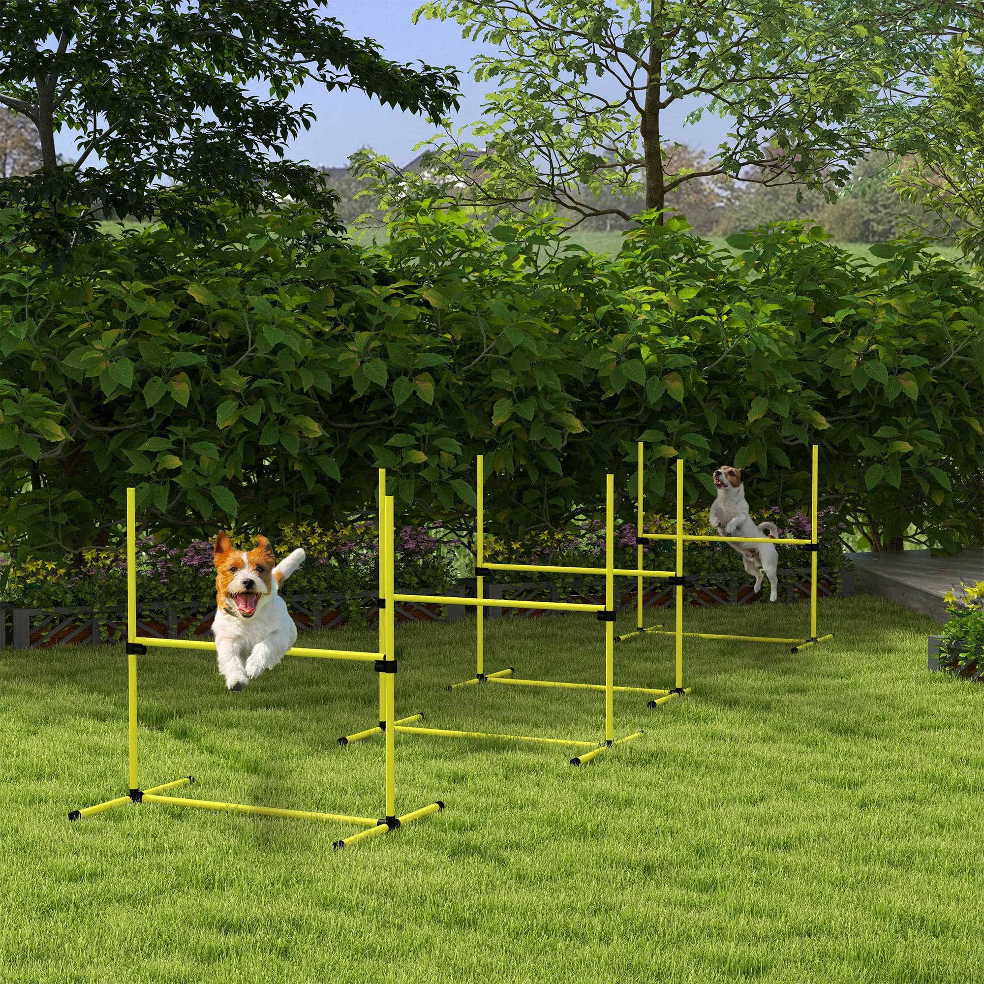 Dog agility training equipment