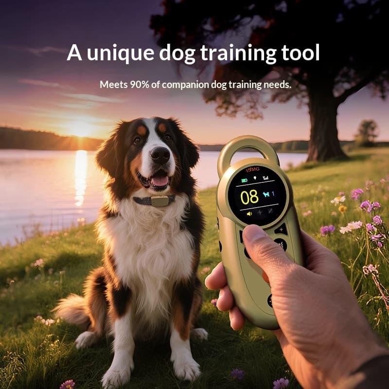 Remote Training Collar