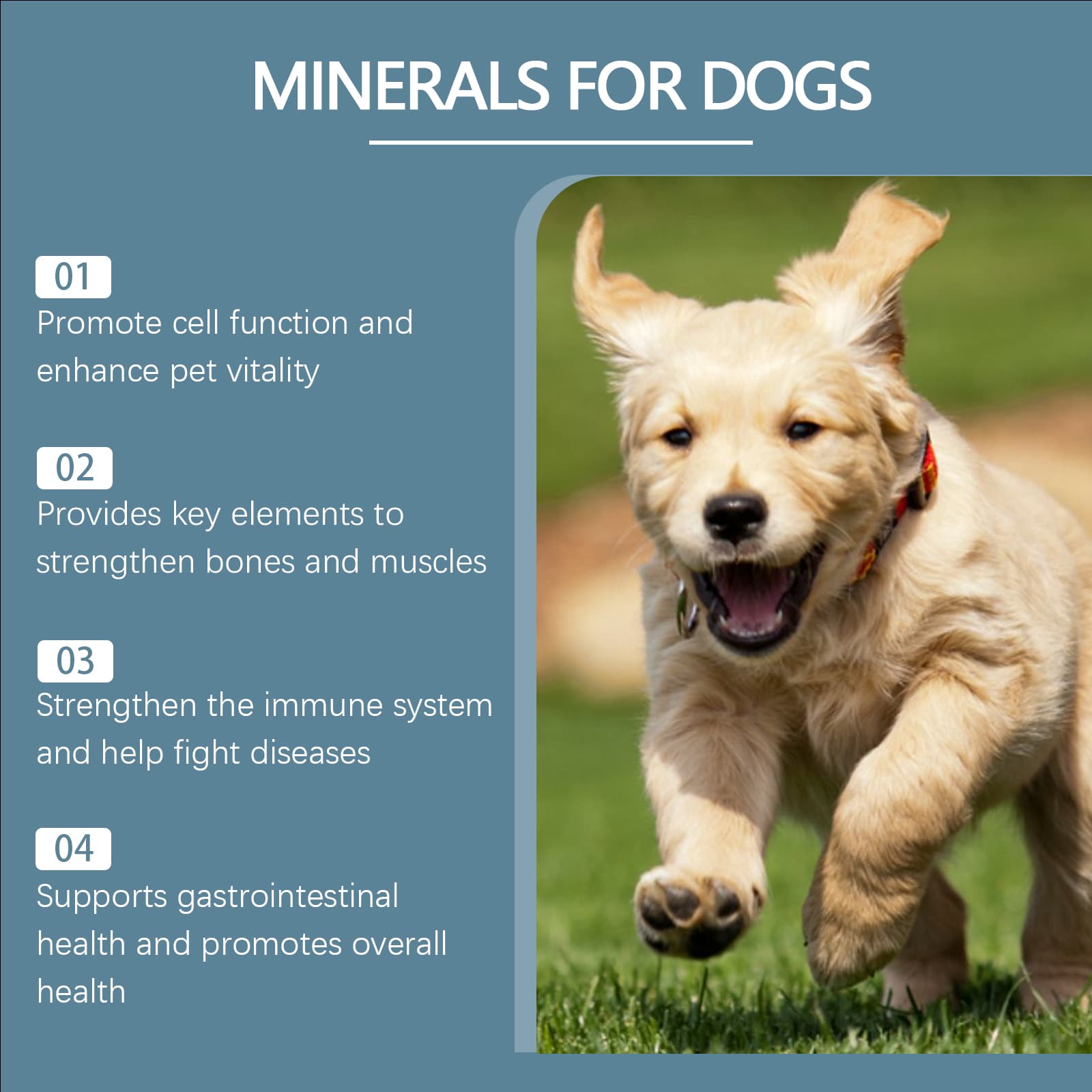 Dog Mineral Supplement Tablets, 80 Chewable Minerals Tablets For Pica, Appetite & Bone Health Support, Non-GMO Human Grade Pet Vitamins