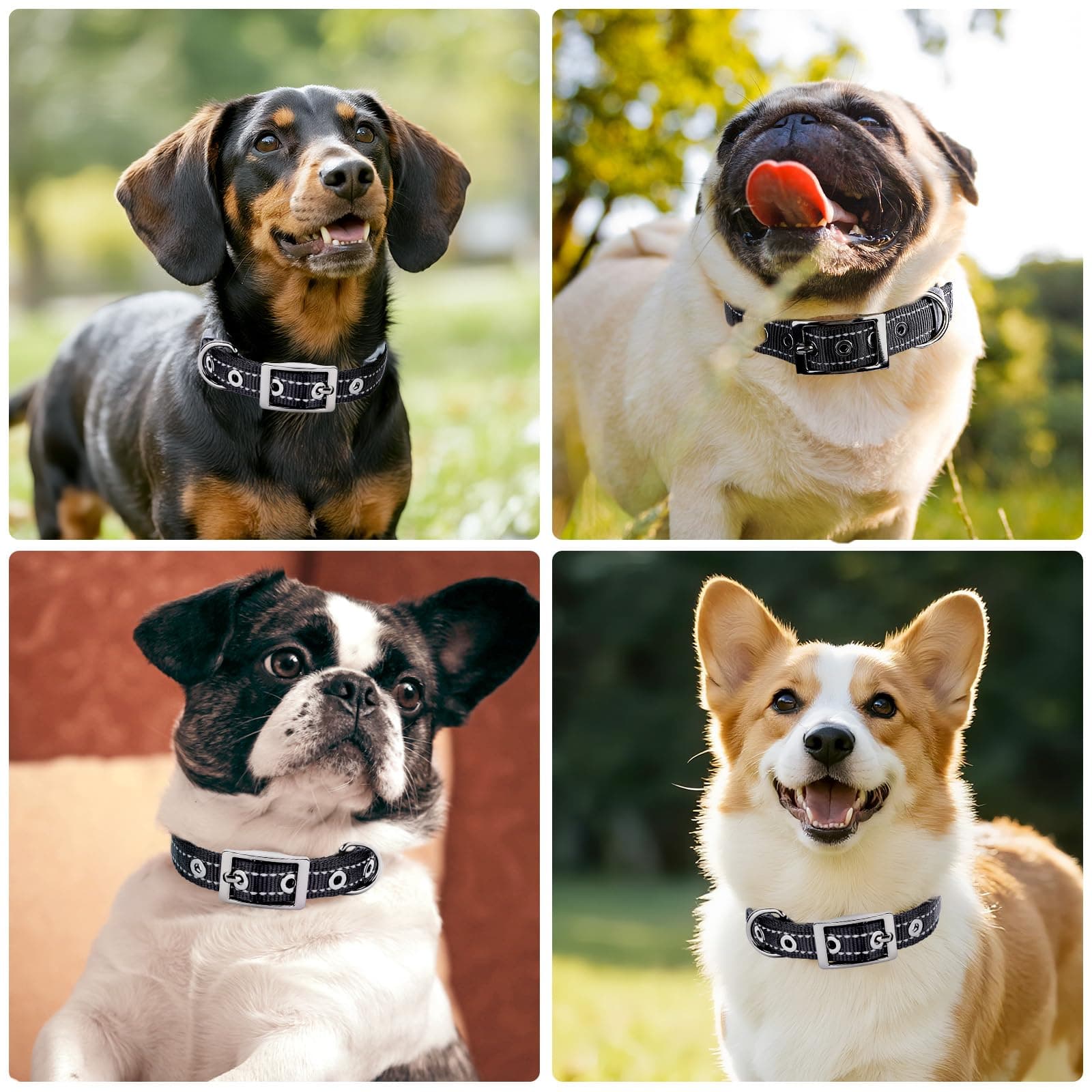 Reflective Dog Collar For Medium Dogs, Adjustable Wide Soft Comfortable Breathable Neoprene Padded Nylon Collar With Heavy Duty Metal Buckle For Medium Small Breeds