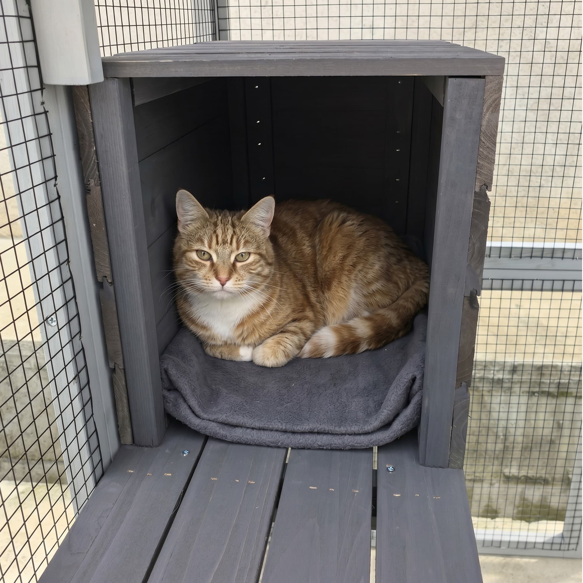 62.6" Wooden Catio for Cats, Large Cat Enclosure with Waterproof cover, 2 Napping House, Platforms & Galvanized Metal Wire – Secure Pet Cage Shelter