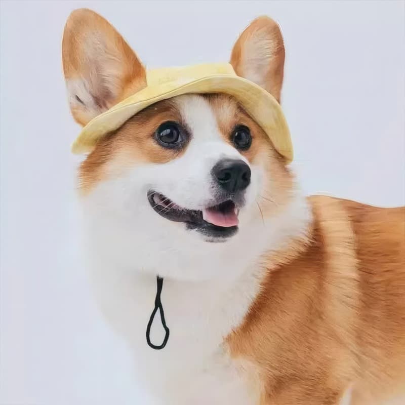Dog Ears Exposed Comfortable Breathable Sun Hat