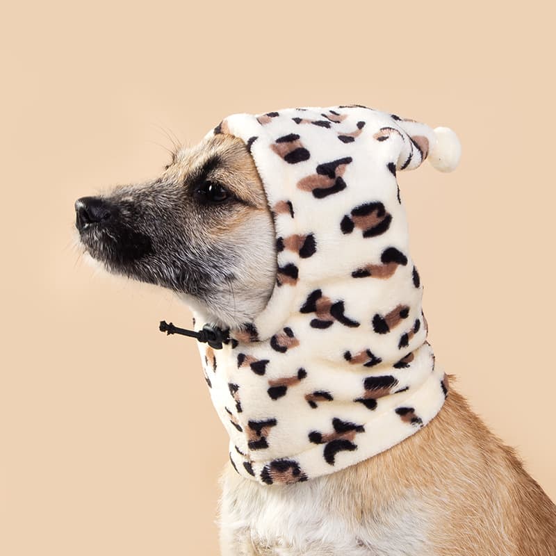 Cute Bear Headdress Rabbit Ears Dog Pet Hat Cat Headgear