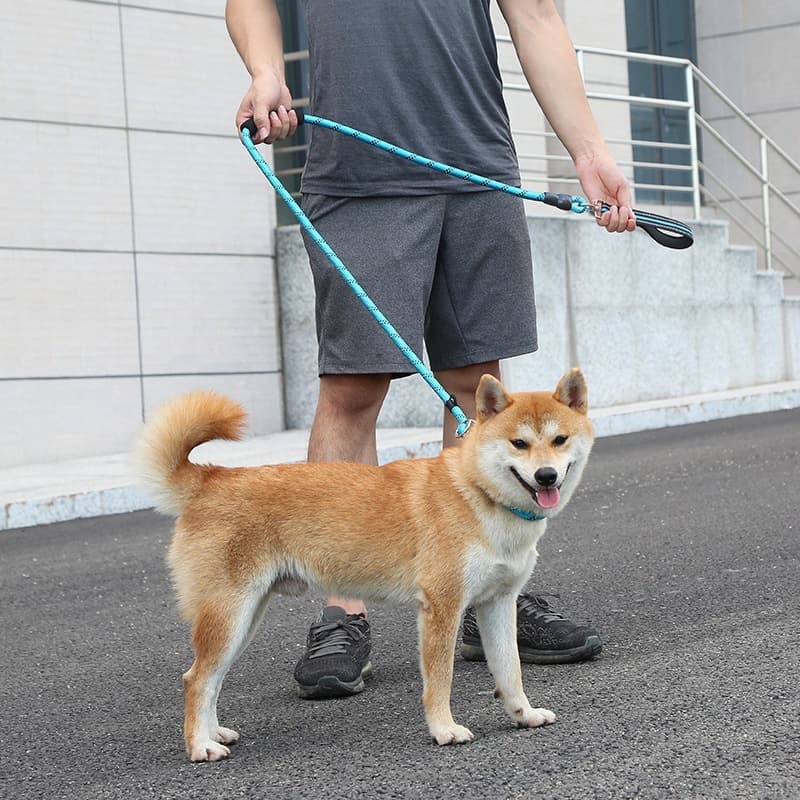 Explosion-proof Anti-winding Dog Leash