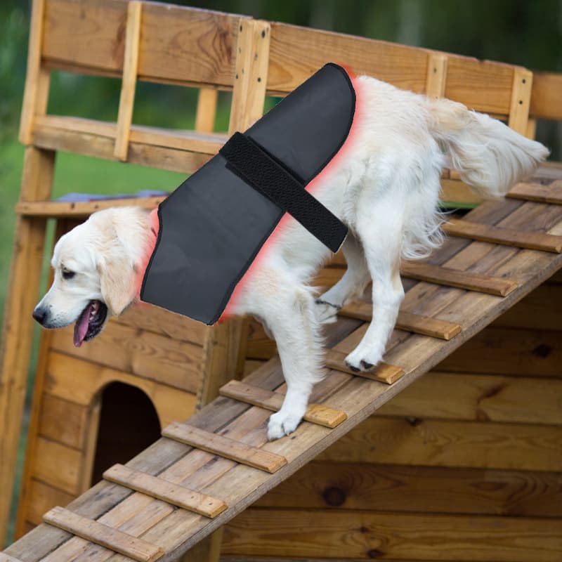 New L Size Pet Red Light Infrared Physiotherapy Instrument Dogs And Cats Back And Abdomen Injury Fracture Healing Portable Timing Wireless