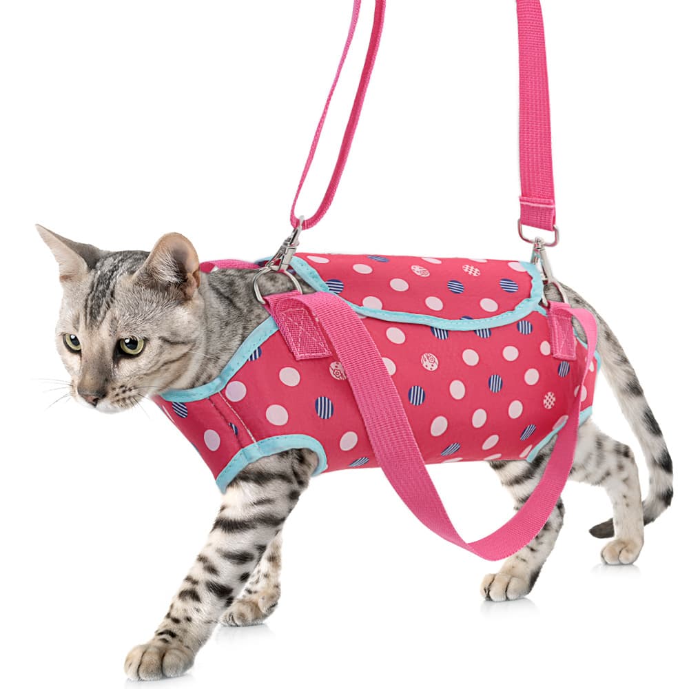 Small Single-shoulder Breathable Crossbody Dog Carrier For Pet Outings