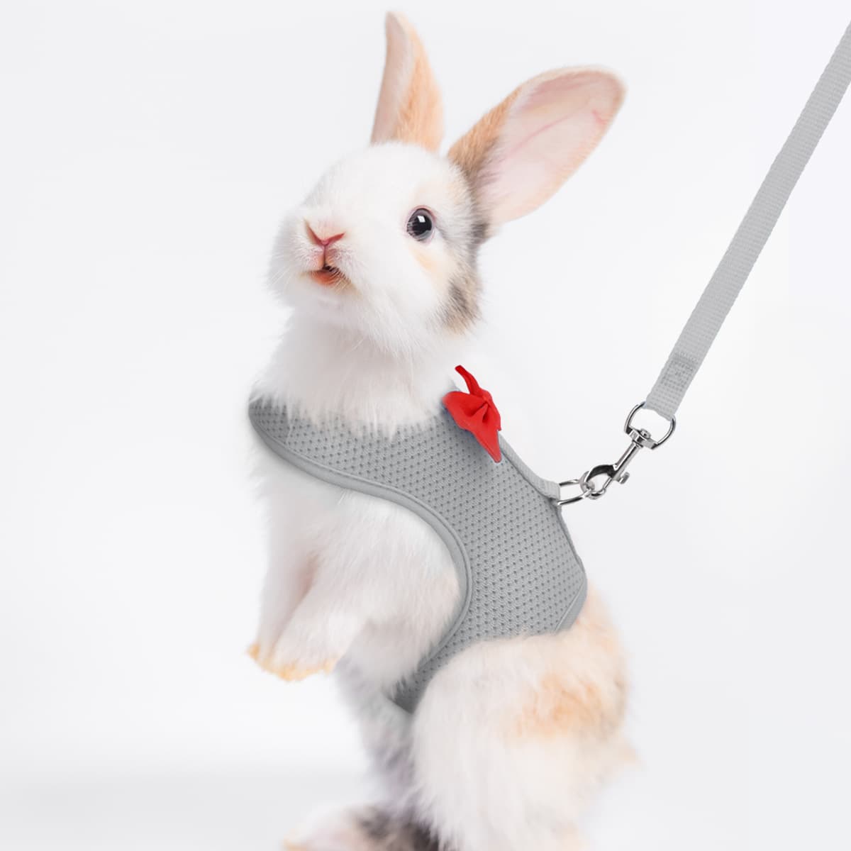 Small Pet Vest Harness and Leash Set - Adjustable Breathable Rabbit Guinea Pig Walking Gear for Safe Outdoor Control
