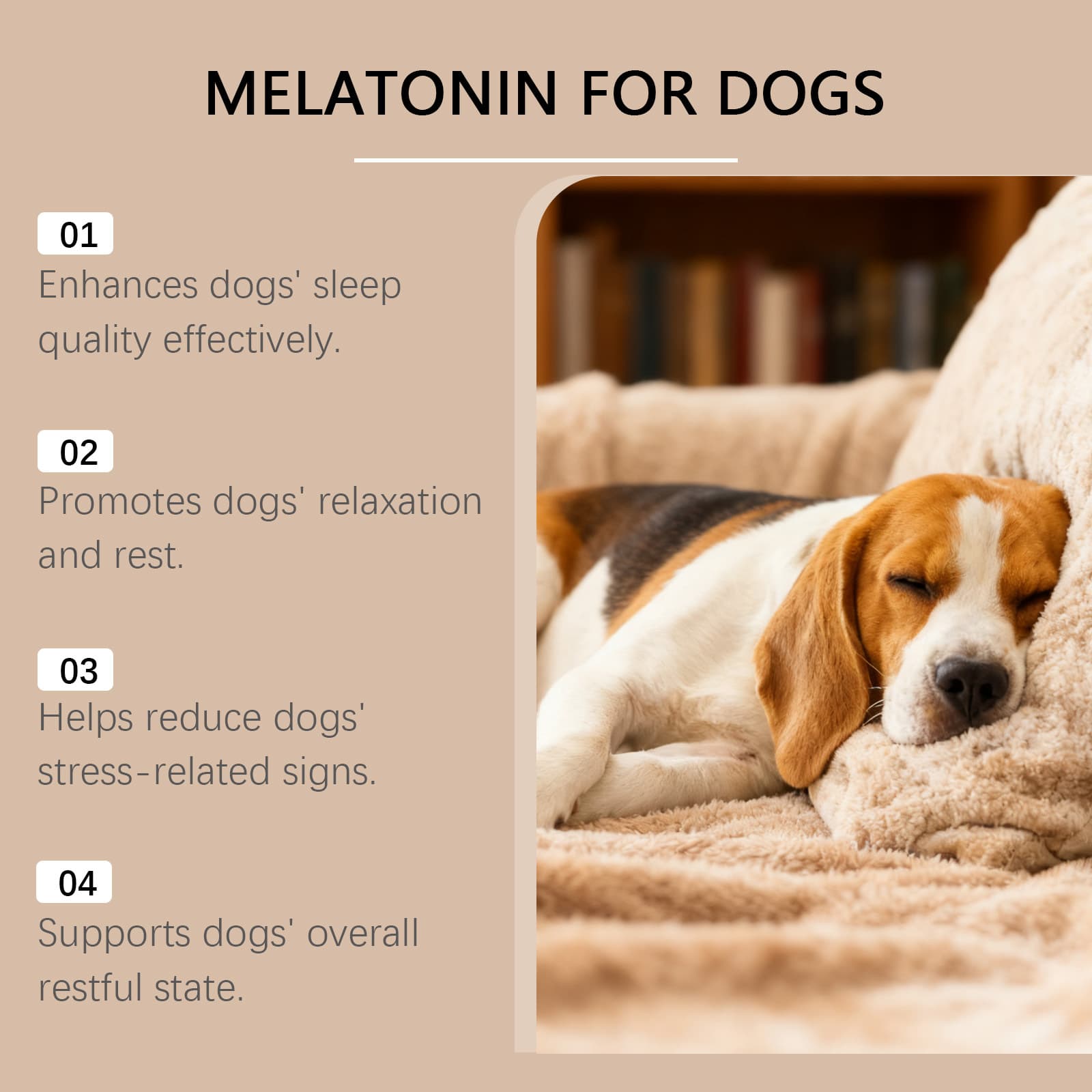Gentle Everyday Ingredients To Care For Your Dog
