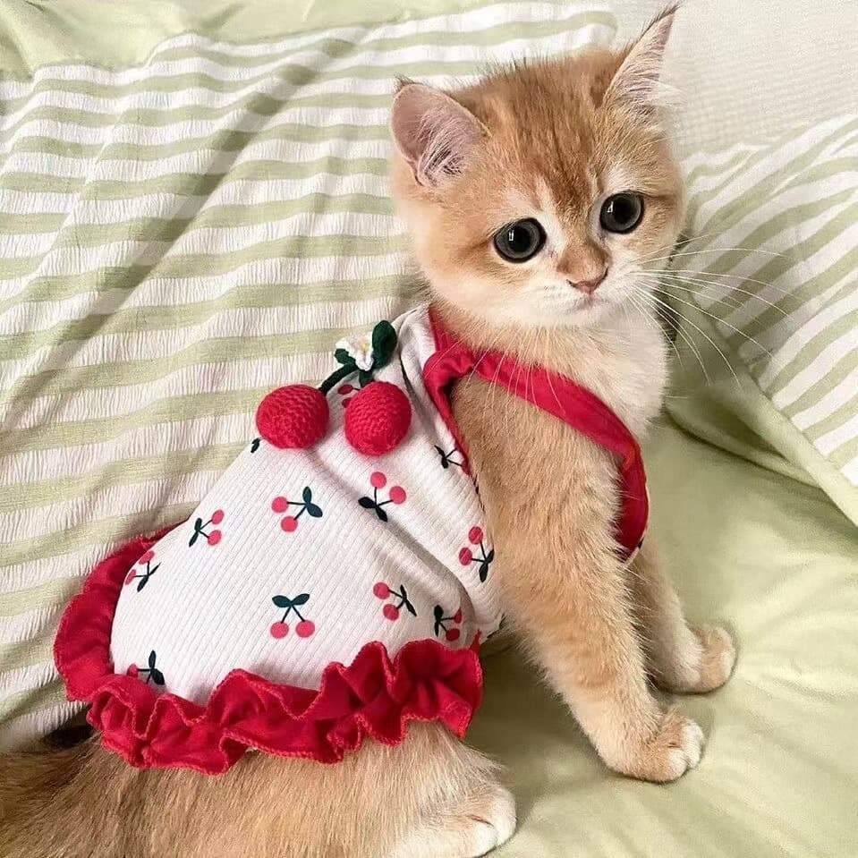 Cute Summer Harness Vest For Dogs