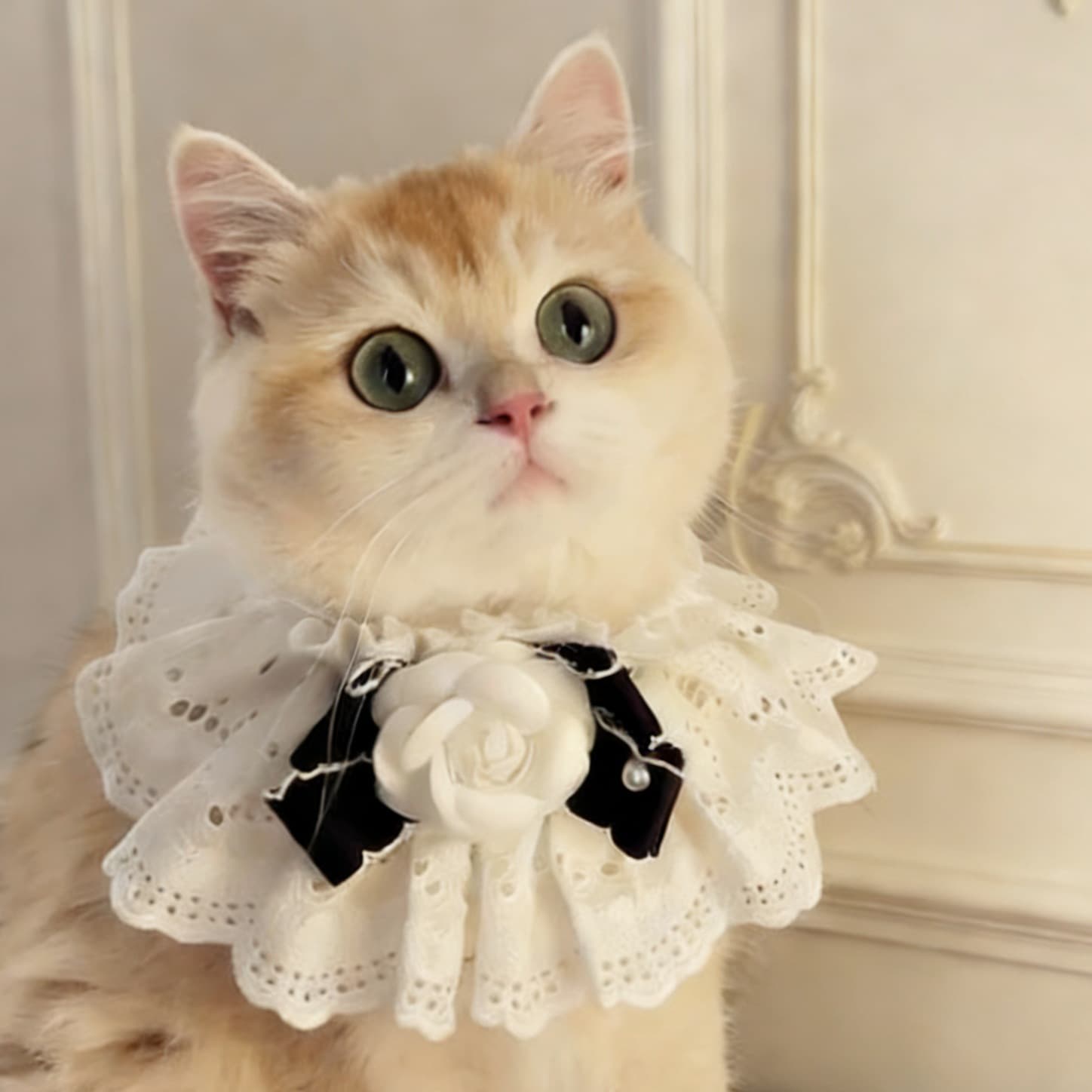 Cute Bow-Knot Fairy Cat Drool Bib