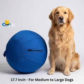 SelfEntertainment Ball, 45cm Interactive Chew Toy BoredomBusting Must-Have For Golden Retrievers, Border Collies, And Other Large Dogs