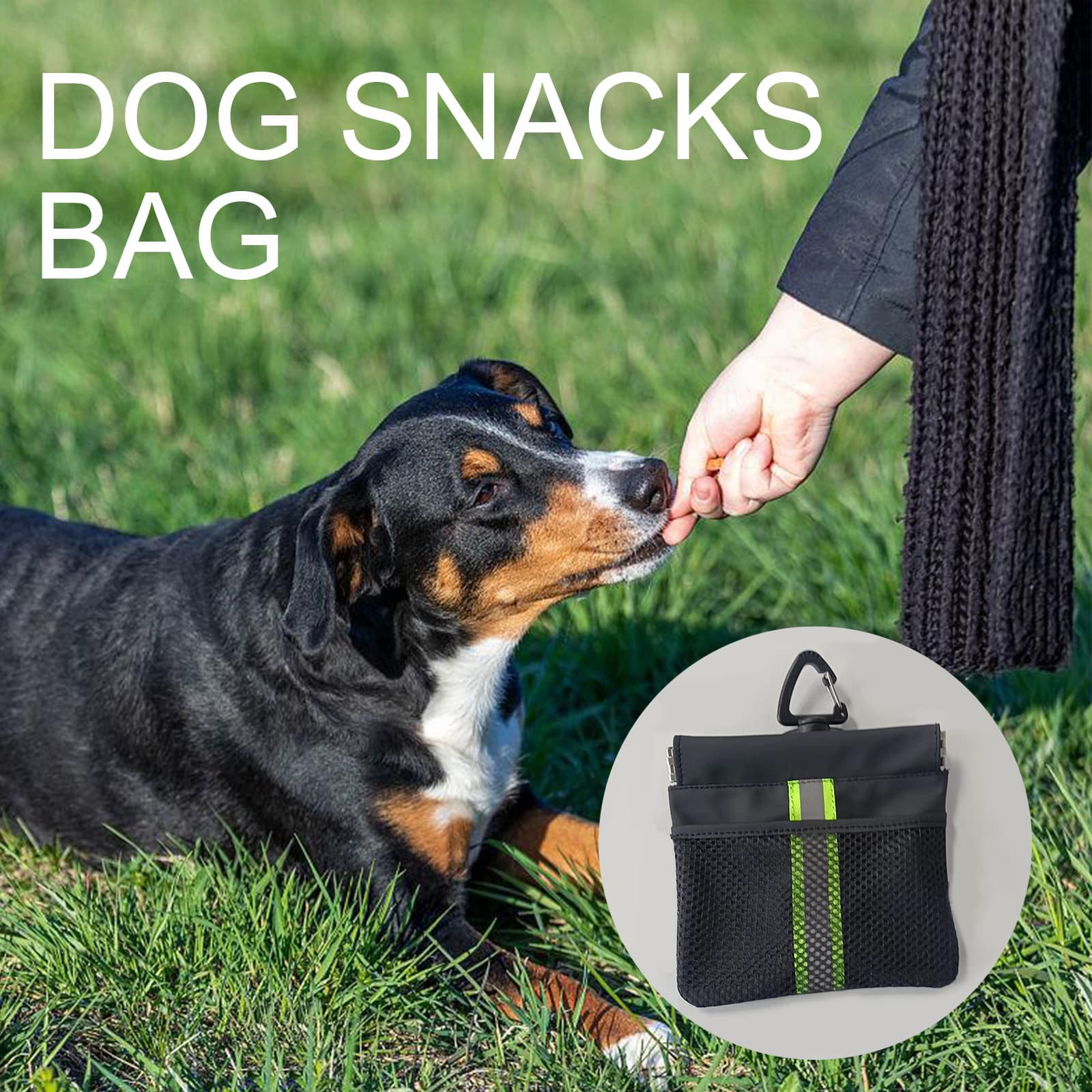 Pet Snacks Training Bags Waterproof And Hard-wearing