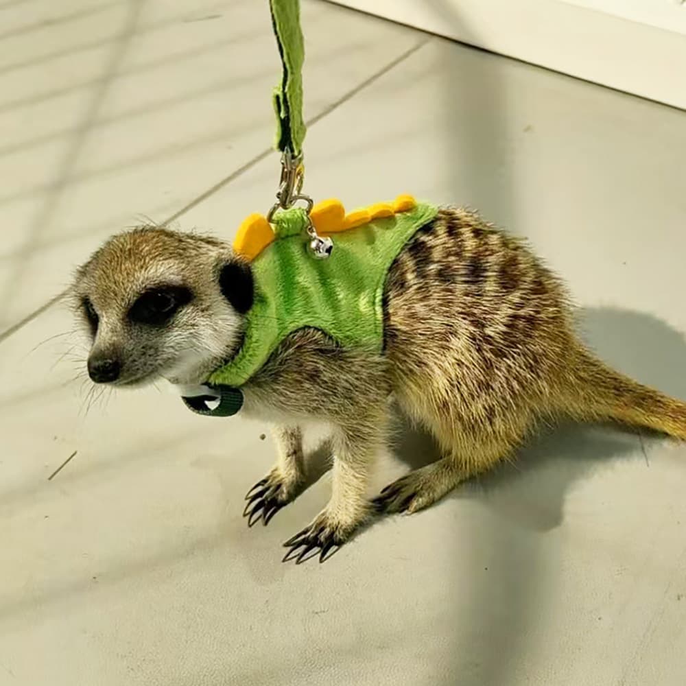 Adjustable Harness Style Ferret Leash