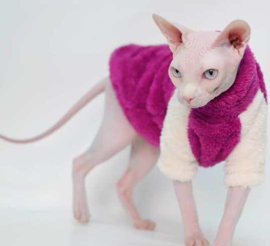 Cat Clothes Autumnwinter Plush Warm