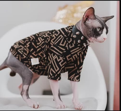 Factory-direct Pet Pullover Sweater For Dogs And CatsFrench Bulldog