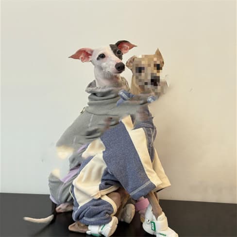 Dog Clothes AutumnWinter Thickened Warm Simple Apparel Sporty Style Four-Leg Base Layer