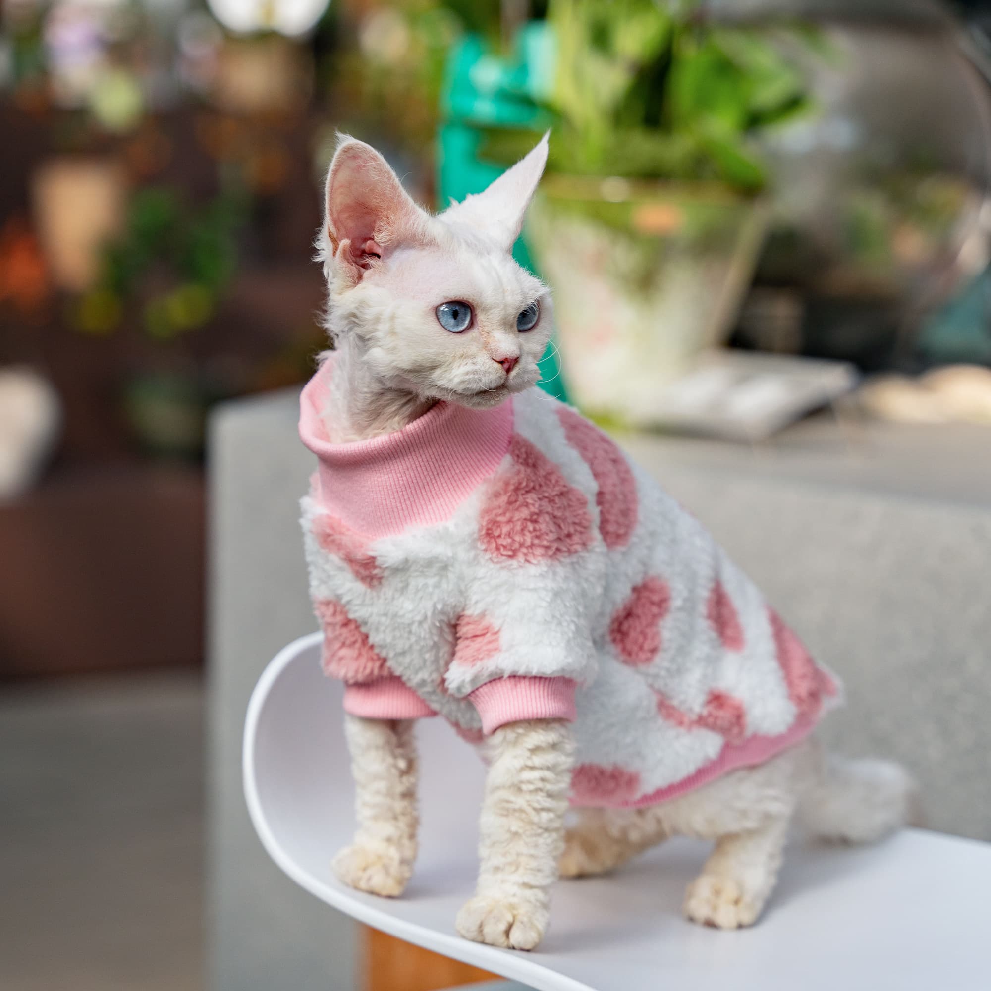 Warm Double-sided Fleece Cat Clothes
