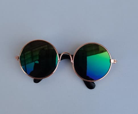 Pet Small Sunglasses For Cats
