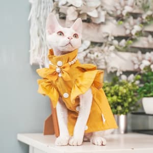 All-match Casual Pure Cotton Breathable Dress For Pet Cats