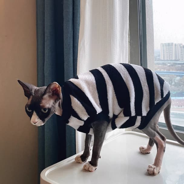 Sphynx Cat Warm Sweater Zebra Stripe Pattern Soft Skin Friendly Clothes For Hairless Cats