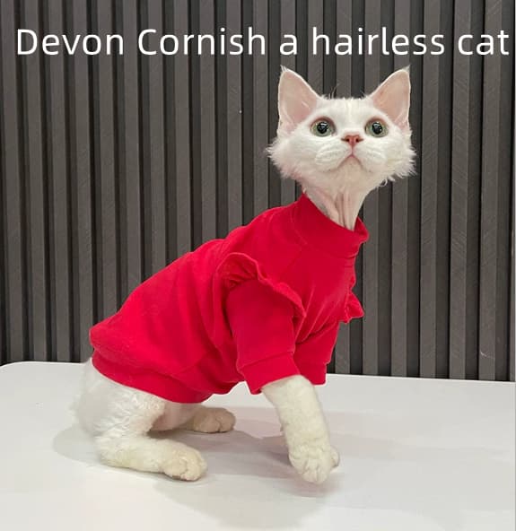 Red T-shirt With Ruffles Hairless Cat Clothing Sphynx And Devon Rex Apparel